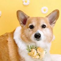 버블버블큥