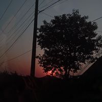 Neilelaglo