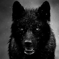 💿🎼🎧K.П.-A.🎎♠️♠♠️🎼🎧💿