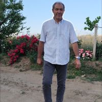 💫DOĞAN💫