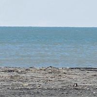 aacquadimare