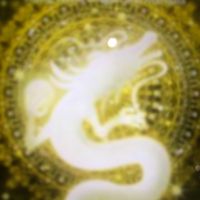 "楼夢"ROHM-ios