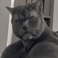 deviangelo