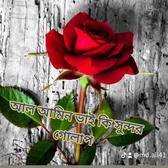 আলামিনভাইকিসুন্দরগোল