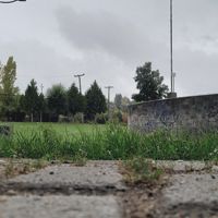 daquiel