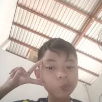 TigerTi_star73747949