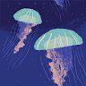 JellyFishing