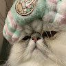 Mr.Tot