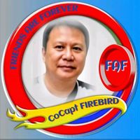🇵🇭CoCaptFireBird♥️🇵🇭
