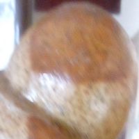Alexandre_king_2024