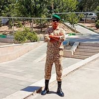 سیاوشی