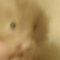 53534