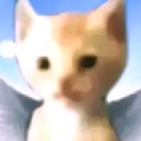 ꧁༺₦Ї₦ℑ₳_star74031172