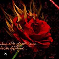 🌹✨Kan_v£_GüL✨🌹