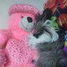Palak_23_star292