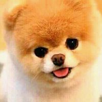 Ghai❤❤❤