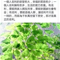 吳国84412