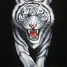 WhiteTiger_star475