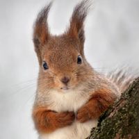 ᴳᶥˣ✧᭄♎ЛенаМояк🐿🦔🎤🛸