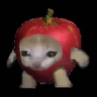 Диана_Атаева
