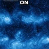 95960218629