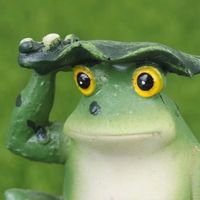 💿Rainfrogg