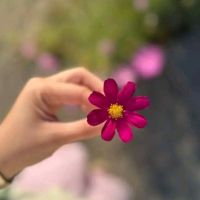 ✥Bαβʟɪ🧚‍♀️🌱