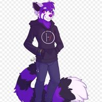 ShadowDoxFox