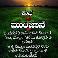 62064221632