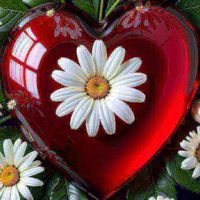 🌼🌿🌼Natali🌼🌿🌼