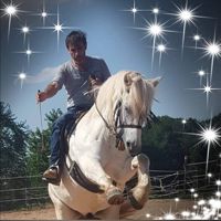🏇.(Маher)🏇👑ᵃˡᵒᵘᶜʰ⚜️