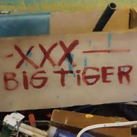 Bigtiger👑
