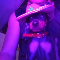🇱🇷🤠2🐴T.G.WEEMS🐴2🤠🇨🇱
