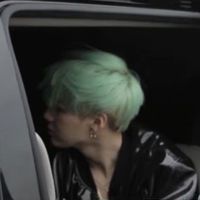 Mint_blackcat