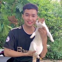 daophuongvu65