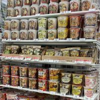 オッカス🐷自由の身になった豚野郎