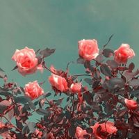 karen.h92