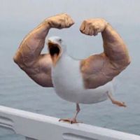 100026500722