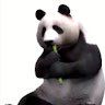 Pandooosek