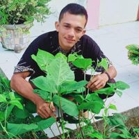 💥Ardian🔥Ariady💥