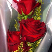 ArianiSmith