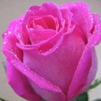 சுகந்தி