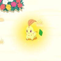 ちこ🌱