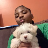 Risingstar91681469