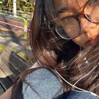 naos_helianthus
