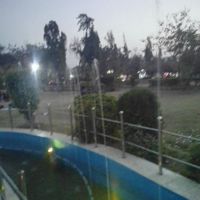 Risingstar19227266