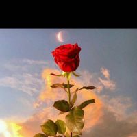 💗hayonh♥ᵁᴬᴱ