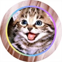 🇷🇺🇰🅾️🇹Я🐱152rus🇷🇺