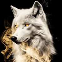 🫂🐺🪐𝑾𝒐𝒍𝒗𝒆🪐🐺🫂
