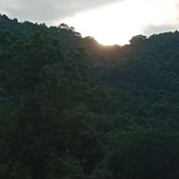 গানওয়ালা১২৩